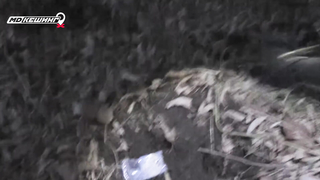 МДКЕШИНГ в Оренбурге. Жетон найден!