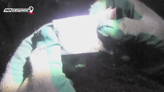 МДКЕШИНГ в Оренбурге. Жетон найден!