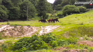 МДКЕШИНГ В Г. НАЛЬЧИК 2021