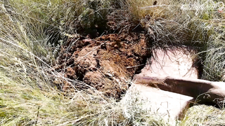 МДКЕШИНГ В Г. ОРЕНБУРГ 2021