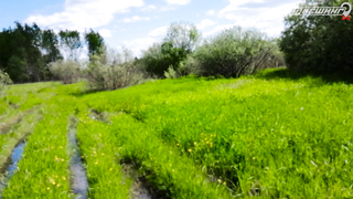 МДКЕШИНГ В Г. ПСКОВ 2021