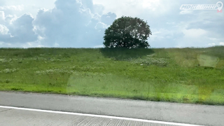 МДКЕШИНГ В Г. МИНСК 2021