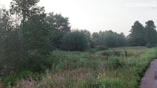 ПОИСК ЖЕТОНА В Г. КАЛИНИНГРАД 2021