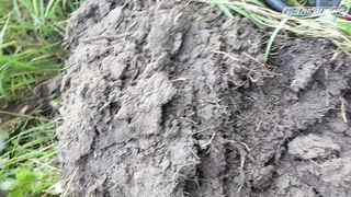 ПОИСК ЖЕТОНА В Г. КАЛИНИНГРАД 2021