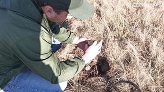 ПОИСК ЖЕТОНА В Г. ОРЕНБУРГ 2021