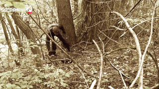 МДКЕШИНГ во Владимире. Жетон найден!