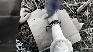 МДКЕШИНГ В Г. СЕМЕЙ 2021