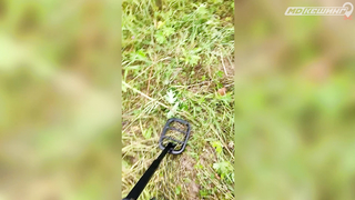 ПОИСК ЖЕТОНА В Г. ЙОШКАР-ОЛА 2021