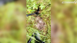 ПОИСК ЖЕТОНА В Г. ЙОШКАР-ОЛА 2021