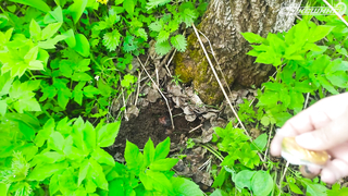 МДКЕШИНГ В Г. НОВОКУЗНЕЦК 2021