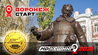 МДКЕШИНГ В Г. ВОРОНЕЖ 2021