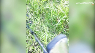 ПОИСК ЖЕТОНА В Г. НОВОСИБИРСК 2021