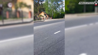 МДКЕШИНГ В Г. СЫКТЫВКАР 2021