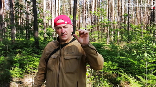 МДКЕШИНГ В Г. ГОМЕЛЬ 2021