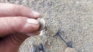 Minelab Equinox 800. Коп в Казахстане 2