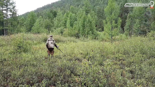 ПОИСК ЖЕТОНА В Г. ЧИТА 2021