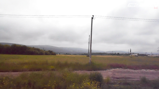 МДКЕШИНГ В Г. НОВОРОССИЙСК 2021