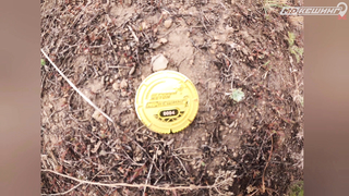 МДКЕШИНГ В Г. НУР-СУЛТАН 2021