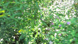 ПОИСК ЖЕТОНА В Г. ВЛАДИВОСТОК 2021