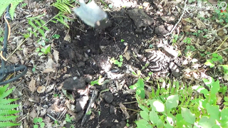 ПОИСК ЖЕТОНА В Г. ВЛАДИВОСТОК 2021