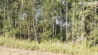 МДКЕШИНГ В Г. ХАБАРОВСК 2021