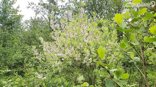 МДКЕШИНГ В Г. ТВЕРЬ 2021