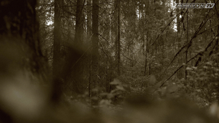 ПОДСКАЗКА МДКЕШИНГ В Г. КИРОВ 2021