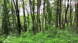 МДКЕШИНГ В Г. СОЧИ 2021