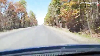 ПОИСК ЖЕТОНА В Г. ХАБАРОВСК 2021