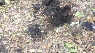 ПОИСК ЖЕТОНА В Г. БЕЛГОРОД 2021