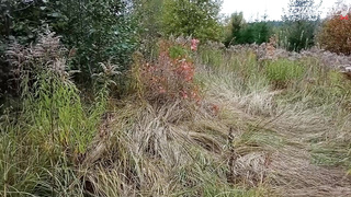 ПОИСК ЖЕТОНА В Г. МОСКВА 2021