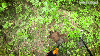 Подводный коп с XP DEUS