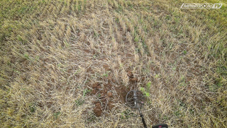 Подводный коп с XP DEUS