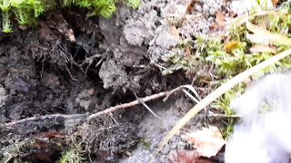 ПОИСК ЖЕТОНА В Г. НОВОПОЛОЦК 2021