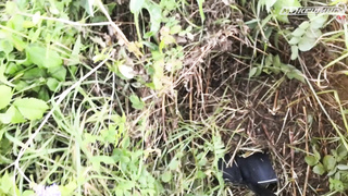 ПОИСК ЖЕТОНА В Г. ВЕЛИКИЕ ЛУКИ 2021