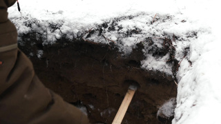 Тест катушки MDREGION 12.5" для металлоискателей Quest