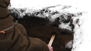 Тест катушки MDREGION 12.5" для металлоискателей Quest