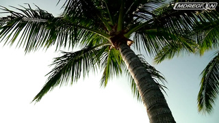 Расширяем сеть! Новый магазин МДРегион в Индии, г. ХАЙДАРАБАД