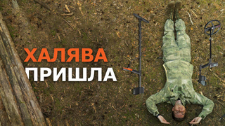 ВПЕРЁД! ЗА ВЫГОДОЙ!