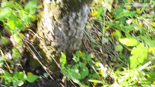 ПОИСК ЖЕТОНА В Г. НОВОКУЗНЕЦК 2022