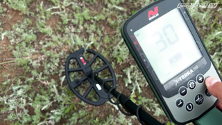 Minelab X-Terra Pro. Тест на глубину, тест на разделение целей.