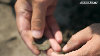 Копаю с X-Terra Pro на морском пляже