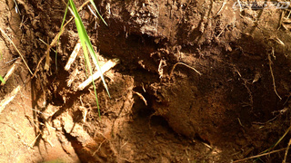 Катушка MDREGION для Quest X10 IDMaxx