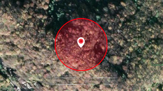 МДКешинг: Ненайденные жетоны